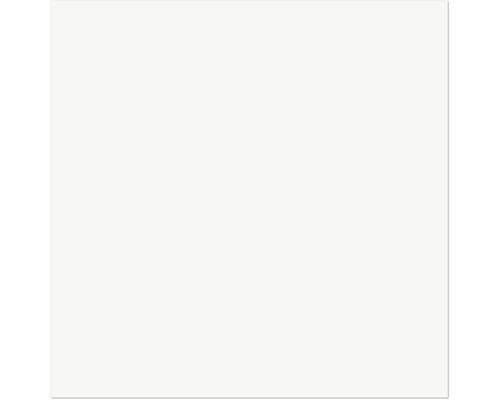 Wand- und Bodenfliese Plain White poliert 60 x 60 cm 8 mm