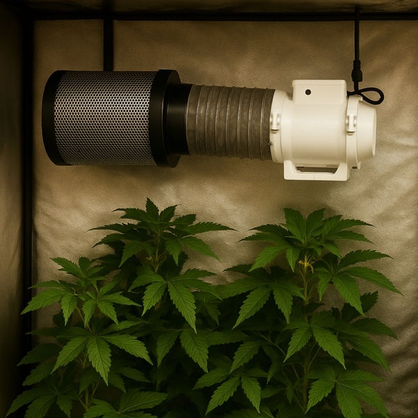 Aktivkohlefilter mit Ventilator und Grow Pflanzen in einem Growzelt