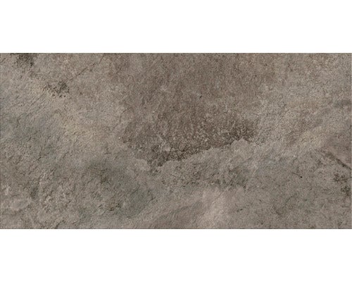 Wand- und Bodenfliese Gaia grau 29,8x59,8 cm