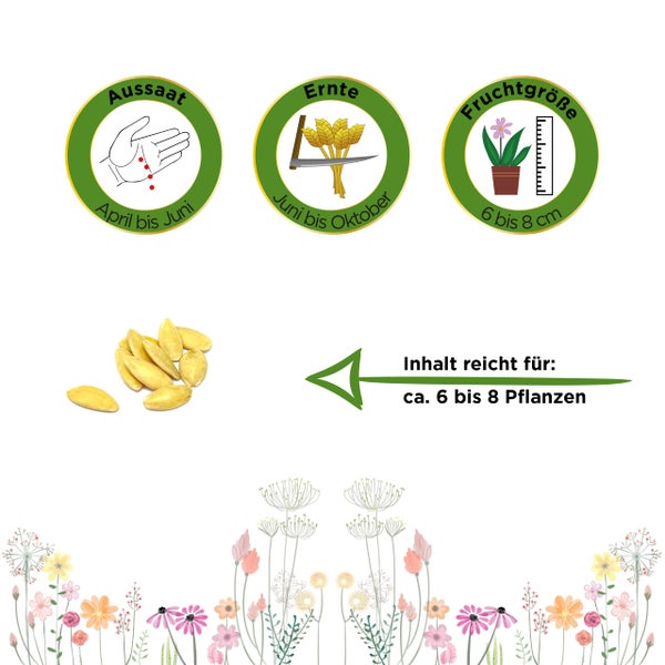 Informationen zur Pflanze: Aussaat April bis Juni, Ernte Juni bis Oktober, Fruchtgröße 6 bis 8 Zentimeter. Inhalt reicht für circa 6 bis 8 Pflanzen.