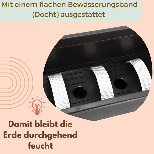 Detailaufnahme eines Pflanzkastens mit Bewässerungsband für feuchte Erde