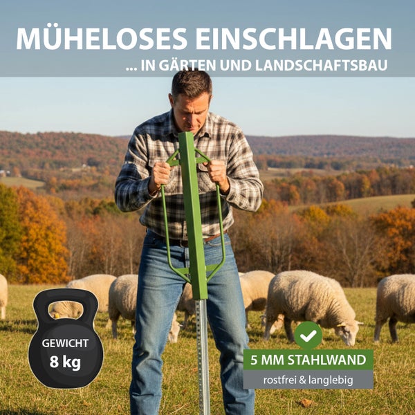 Ein Mann verwendet einen Pfostenrammer aus Stahl mit 8 Kilogramm Gewicht, um einen Pfosten in einer Weide mit Schafen zu befestigen.
