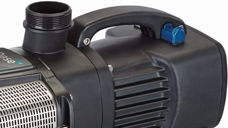 Detailansicht einer schwarzen Gartenpumpe mit Tragegriff, blauem Schalter und Gewindeanschluss.