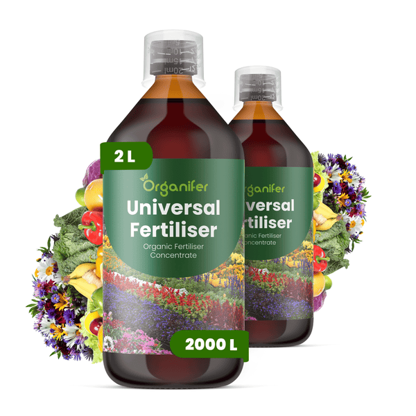 Zwei Flaschen Organifer Universal-Flüssigdünger Konzentrat, 2 Liter Inhalt für circa 2000 Liter Gießwasser, geeignet für Blumen und Gemüse.