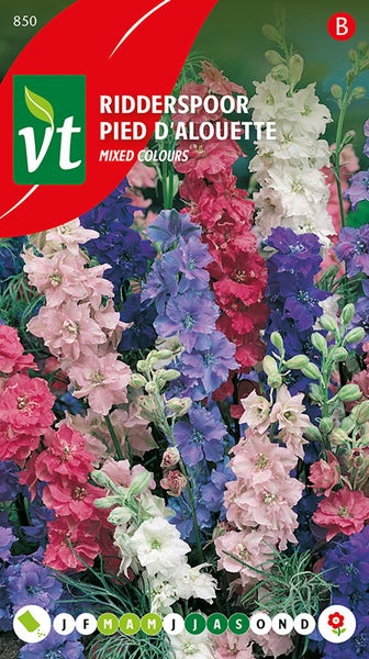 Rittersporn Mischfarben