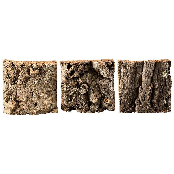 Wandfliesen aus Naturkork mit grob strukturierter Rindenoberfläche.