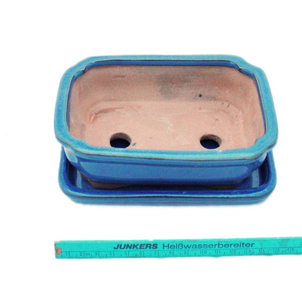 Orchidee mit violetten Blüten in einem goldenen Topf