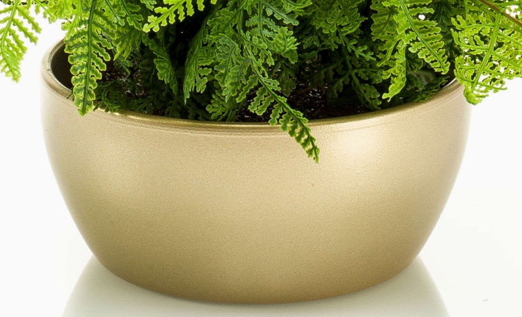 Künstliche Farnpflanze mit grünen Wedeln und braunen Stielen in einem schwarzen Kunststofftopf