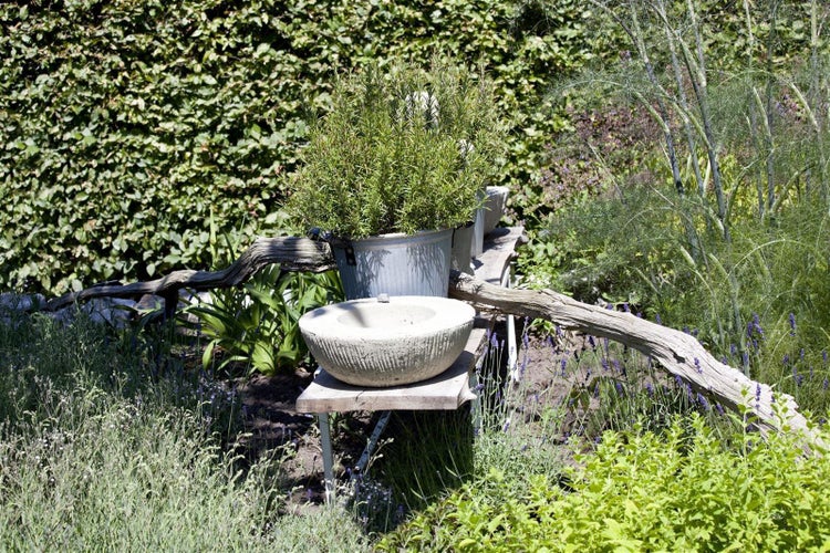 Steinschale und Rosmarinpflanze in einem Metalltopf auf einer Gartenbank aus Holz, umgeben von Pflanzen wie Lavendel.
