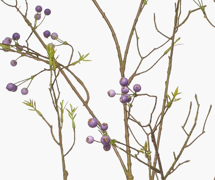 Nahaufnahme von dünnen, kahlen Ästen in Braun und Grün.