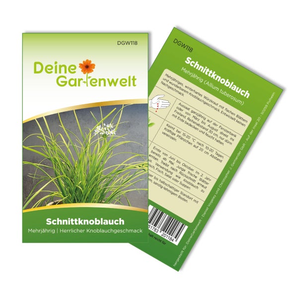 Schnittknoblauch Mehrjährig Samen von Deine Gartenwelt