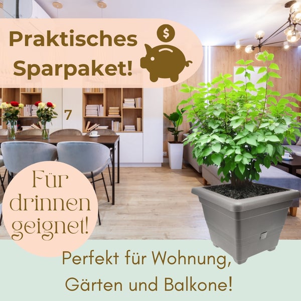 Sparangebot für Haus, Garten und Balkon