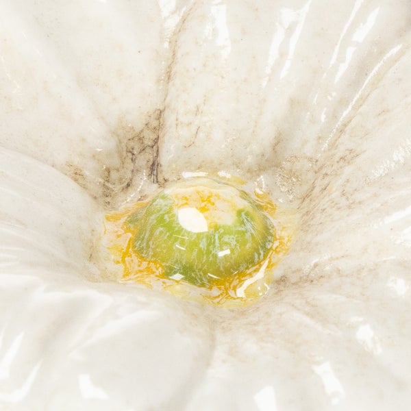 Nahaufnahme einer weißen Keramikblüte mit grünem Zentrum