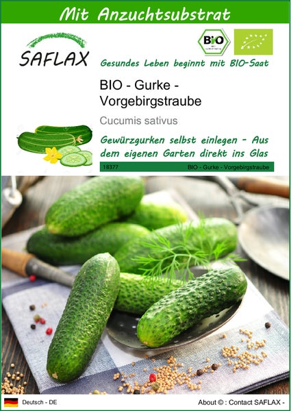 SAFLAX  - BIO - Gurke - Vorgebirgstraube - Cucumis sativus - 15 Samen - Mit keimfreiem Anzuchtsubstrat