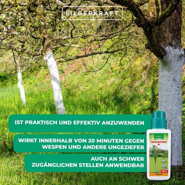 Weißanstrich für Bäume – Schutzanstrich gegen Frostrisse, Sonnenbrand & Schädlingsbefall – Witterungsbeständig, atmungsaktiv & ergiebig – Für Obstbäume & Ziergehölze geeignet