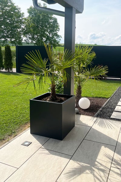 Quadratischer schwarzer Pflanzkübel mit Fächerpalme auf einer hellen, modern gestalteten Terrasse im sonnigen Garten.