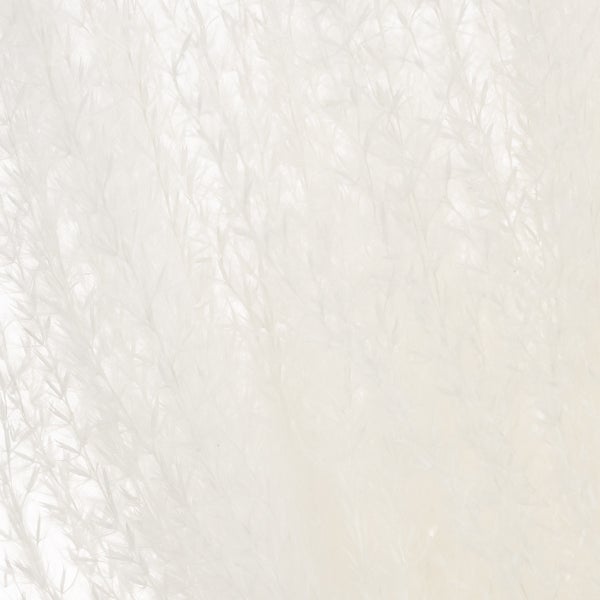 Nahaufnahme von Schilfgras