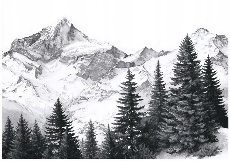 Schwarz-Weiß-Zeichnung einer Gebirgslandschaft mit verschneiten Gipfeln und Nadelbäumen im Vordergrund.