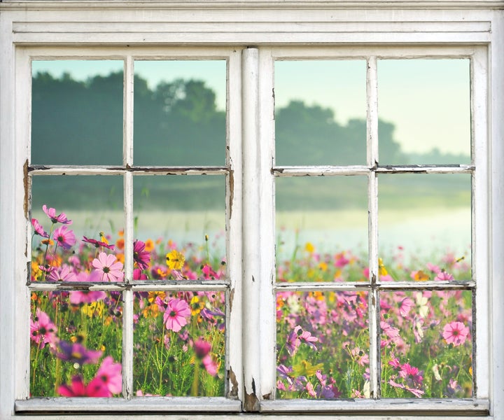 Altes Sprossenfenster mit Blick auf eine Blumenwiese