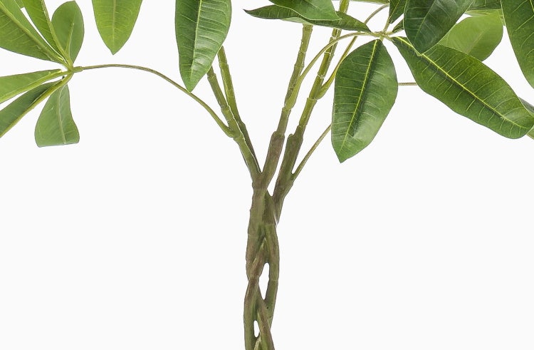 Kunstbaum Pachira ALEC, Kunststämme, 90cm - Deko Kunstpflanze