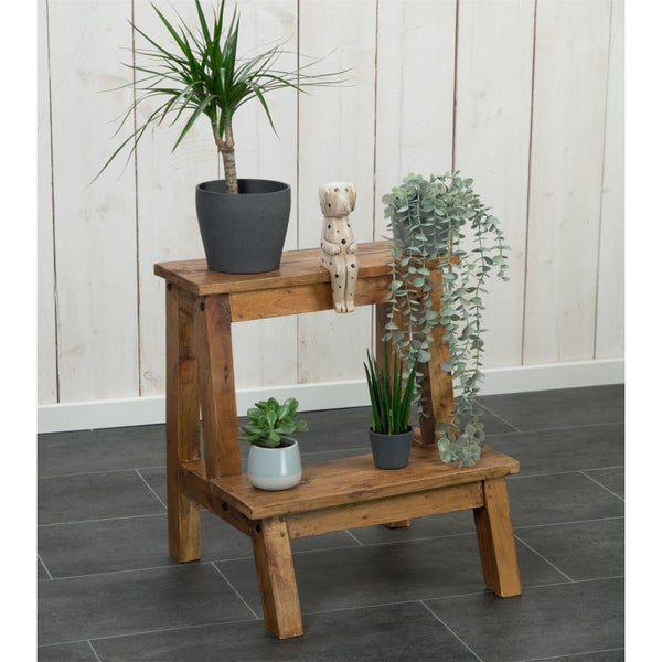 Pflanzentreppe Ficus Mahagoni Massivholz, 2 Ebenen  naturfarben