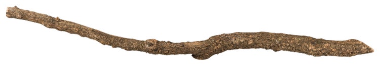 Naturbelassener Holzast mit grober Rindenstruktur.
