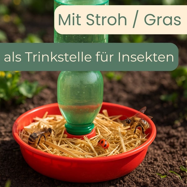 Insektentränke mit Stroh und Insekten