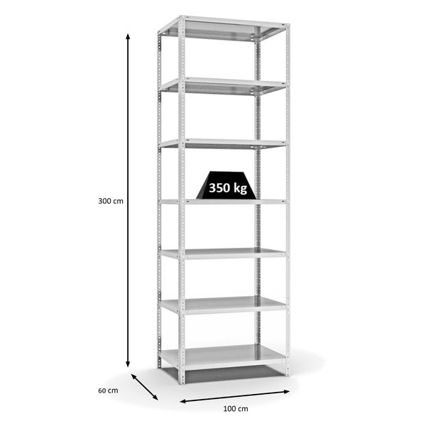 PROREGAL Fachbodenregal Schraubsystem Heavy-Duty Grundregal HxBxT 300 x 100 x 60 cm 7 Ebenen Fachlast 350 kg Beidseitig Nutzbar Lichtgrau