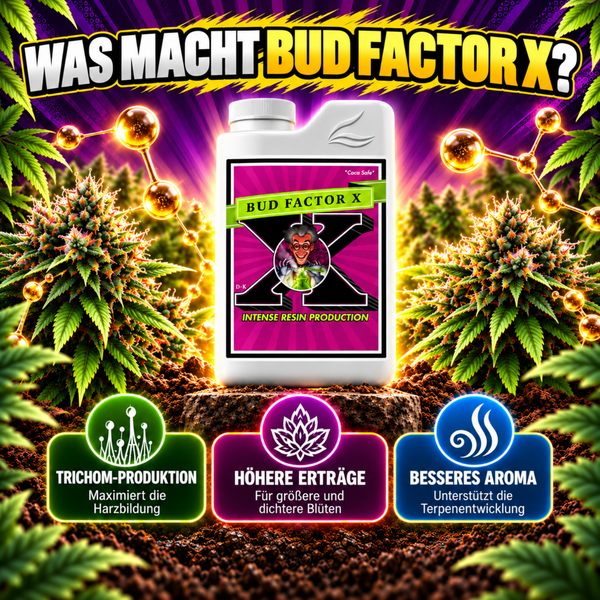 Bud Factor X Pflanzenstärkungsmittel Flasche mit Informationen zu Ertragssteigerung Trichom Produktion und Aroma