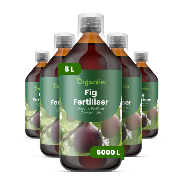 Organifer Magnoliendünger, organisches Düngerkonzentrat in einer 1 Liter Flasche, ausreichend für 1000 Liter Gießwasser.