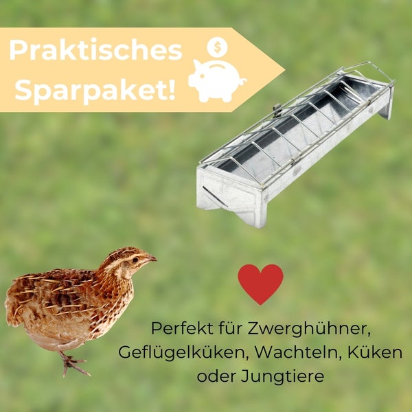 Sparpaket für Zwerghühner, Geflügelküken, Wachteln, Küken oder Jungtiere mit Futterraufe
