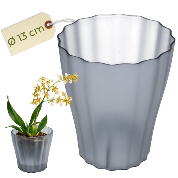 Blumentopf mit gewelltem Rand und einer Topfpflanze, Topfdurchmesser 13 cm