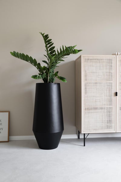 Moderner, hoher Pflanzkübel in Schwarz mit einer grünen Zamioculcas in einem hellen Raum neben einem Rattanschrank.