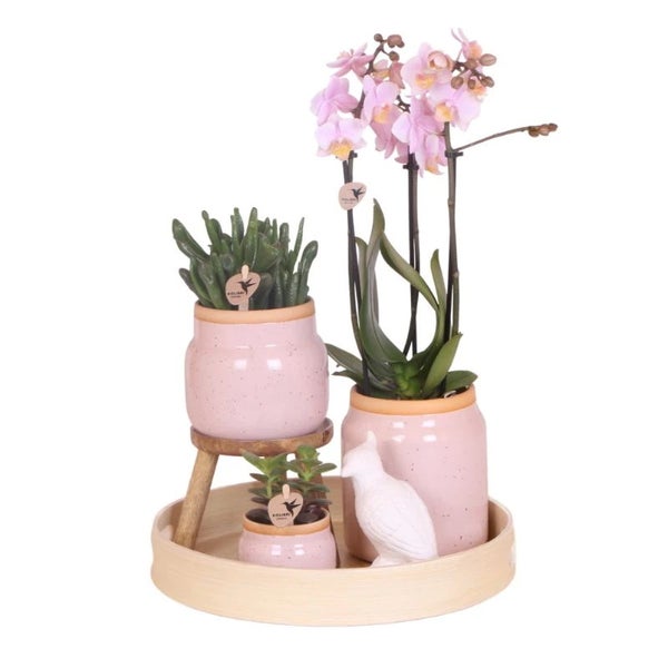 Kleiner Keramikblumentopf