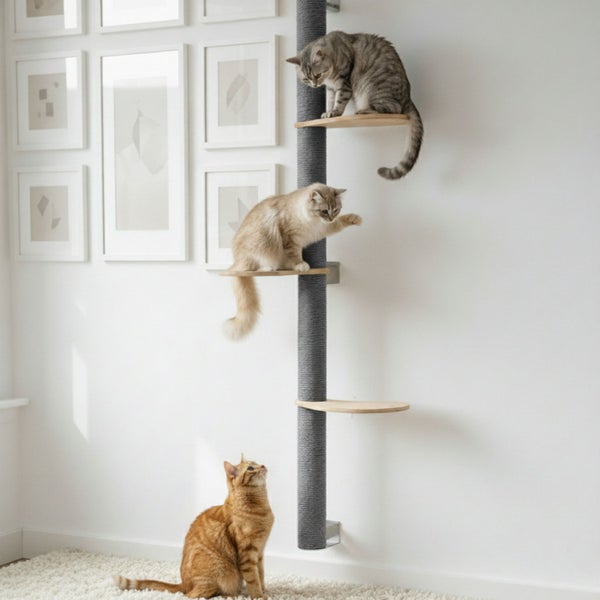 Wandkratzbaum mit Sisalstamm und Holz-Kletterstufen an einer weißen Wand mit Bilderrahmen, drei Katzen spielen darauf.