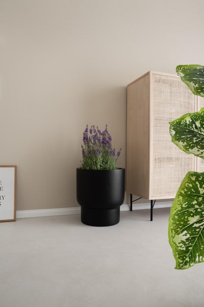 Schwarzer abgestufter Pflanztopf mit Lavendel in einem modernen Wohnraum neben einem hellen Holzschrank mit Rattanfront.