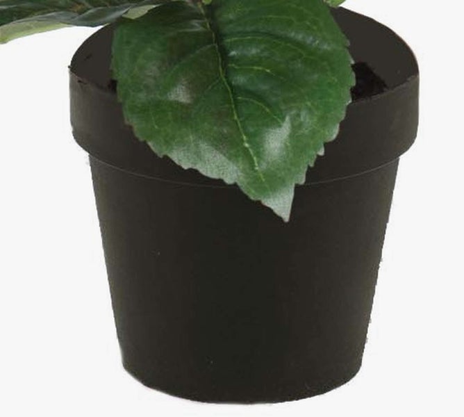 Künstliche Orchidee mit weißen Blüten und grünen Knospen.