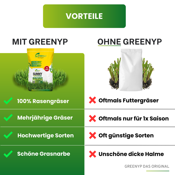 Greenyp Sunny I Dürreresistenter Trockenrasen I 2,5kg für 100m² I Grassamen Rasensamen Rasensaat Gras Nachsaat schnellkeimend