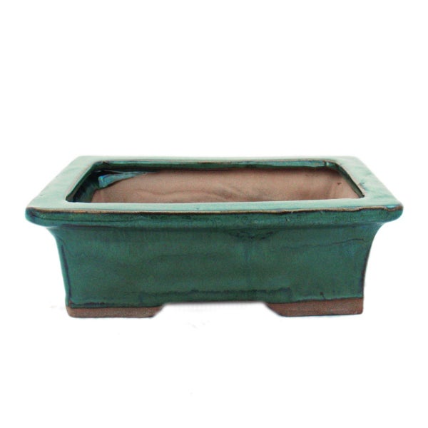 Grüne rechteckige Bonsaischale aus glasiertem Ton mit breitem Rand.