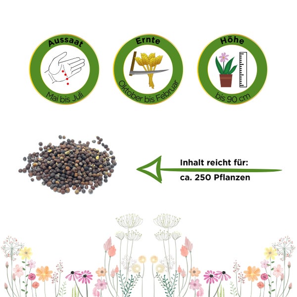 Pflanzensamen: Aussaat Mai bis Juli, Ernte Oktober bis Februar, Wuchshöhe bis 90 Zentimeter, Inhalt für circa 250 Pflanzen.