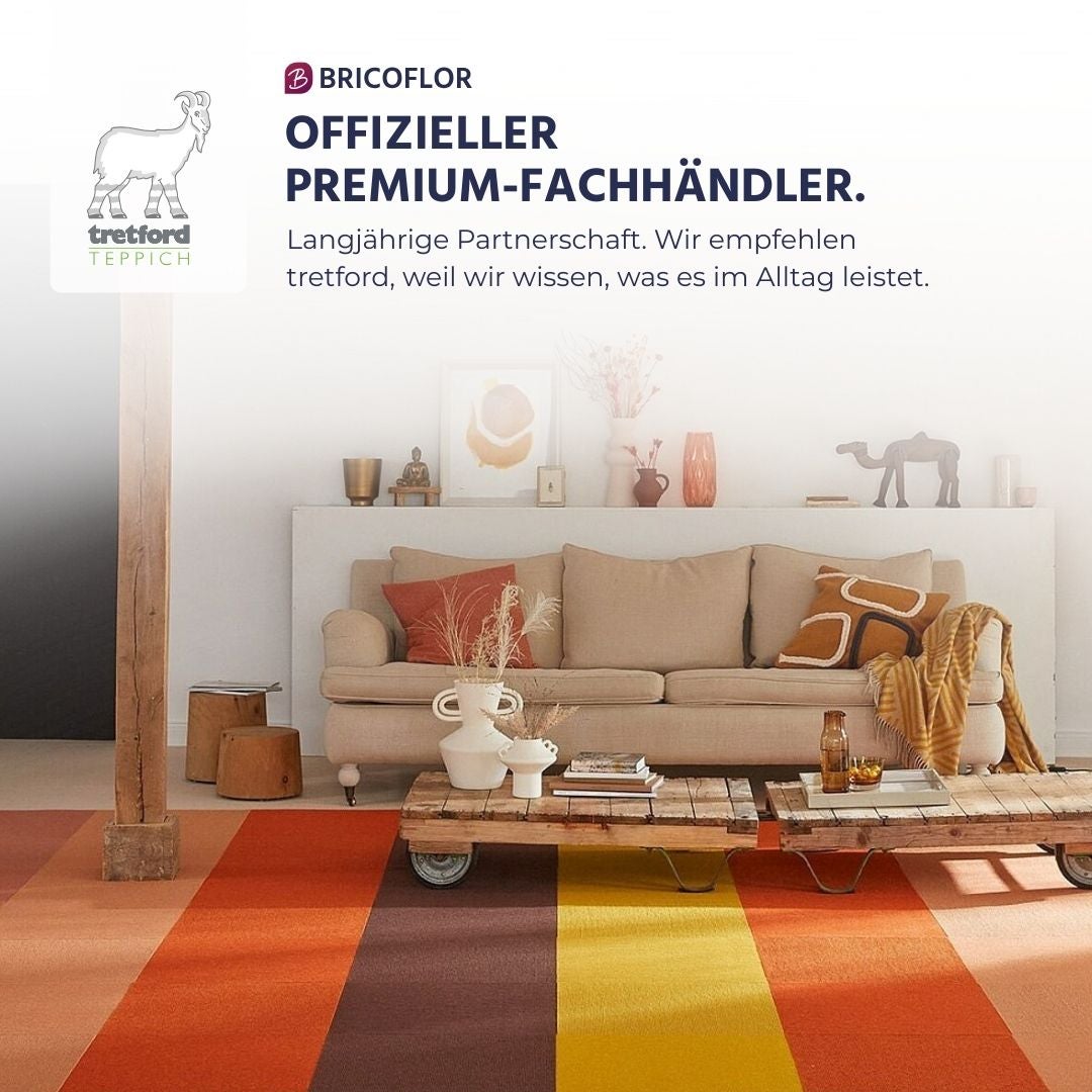 Helles Wohnzimmer mit gestreiftem Tretford Teppich, beigem Sofa und Holztischen. Bricoflor Logo, Tretford Teppich Logo und Premium-Fachhändler Text.