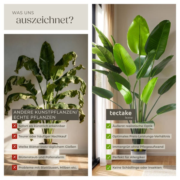 Vergleich von künstlichen und echten Pflanzen mit Vorteilen der künstlichen Pflanze von tectake home