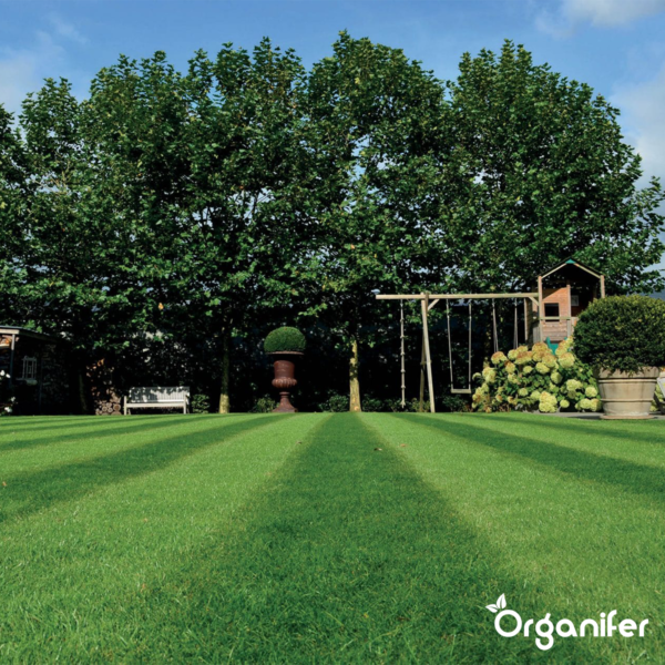 Gepflegter Garten mit Rasen, Bäumen, Schaukel und Gartenhaus