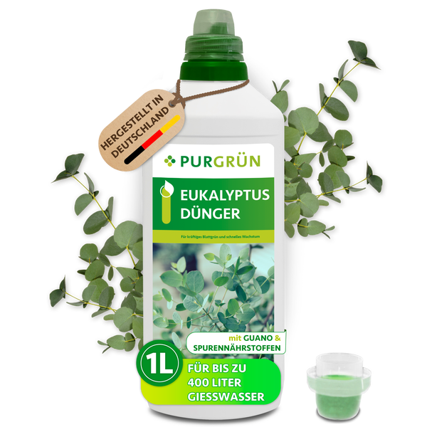 Eine 1 Liter Flasche Purgrün Eukalyptus Dünger mit Guano und Spurennährstoffen für Eukalyptus Pflanzen.