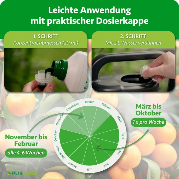 Anwendungshinweise und Dosierungskalender für Purgrün Pflanzendünger mit Schritten zur Messung und Verdünnung.