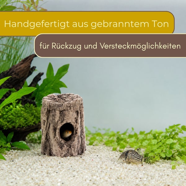 Handgefertigte Aquarium-Dekoration aus gebranntem Ton in Baumstamm-Optik als Versteck für Fische, platziert auf hellem Sand mit Wasserpflanzen.