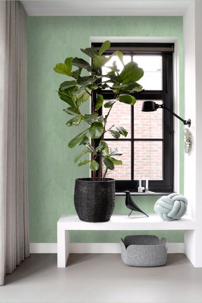 Innenraum mit Zimmerpflanze im geflochtenen Topf und Fensterdekoration auf einem weißen Regal vor einer Tapete mit Blattmuster