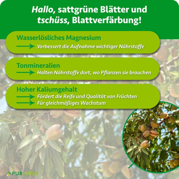 Infografik zum Purgrün Pflanzendünger für Mandelbäume mit Fokus auf Magnesium, Tonmineralien und Kaliumgehalt.