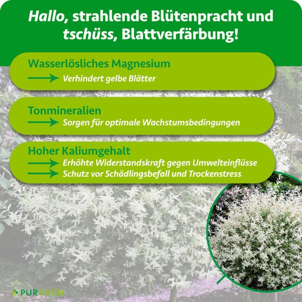 Infografik zu Pflanzendünger: Magnesium gegen gelbe Blätter, Tonmineralien für Wachstum und Kalium für Widerstandskraft. Purgrün Logo.