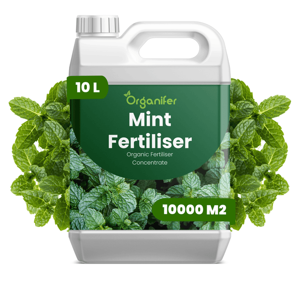 Organifer Logo, Organifer Minzdünger, organisches Düngerkonzentrat, 10 Liter für 10000 Quadratmeter.